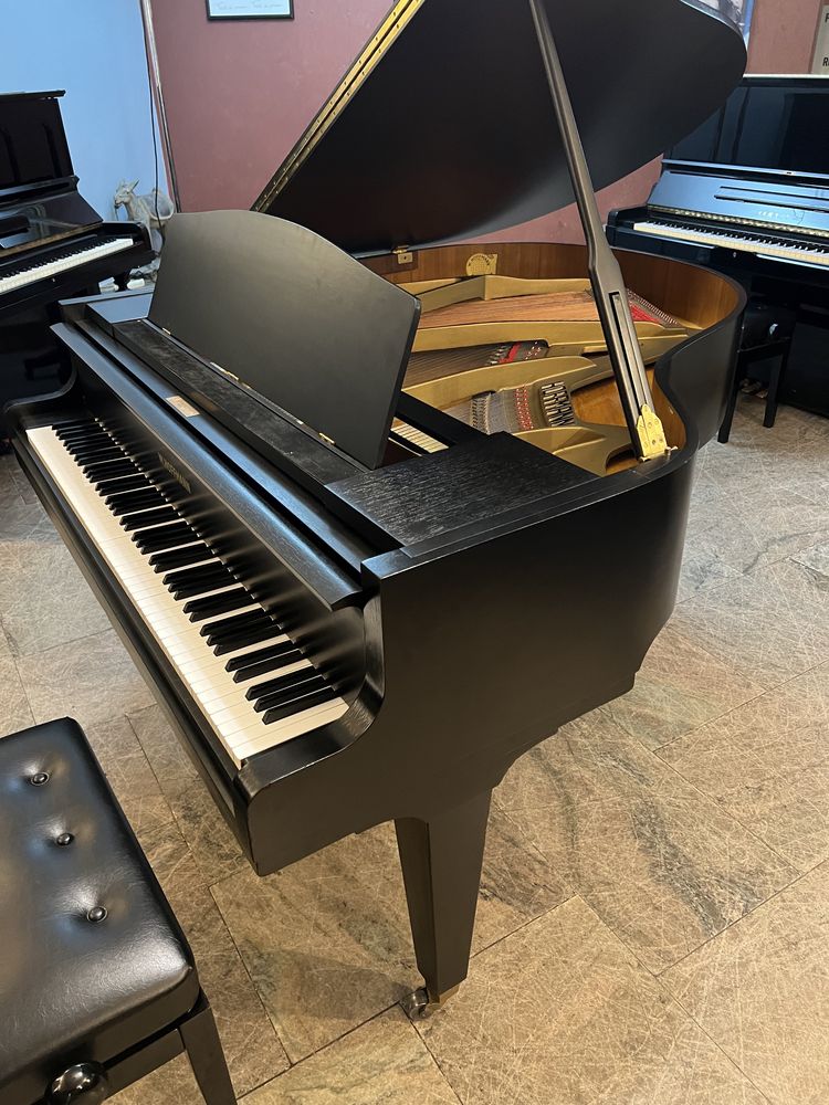 Piano cauda W HOFFMANN Europa alemão