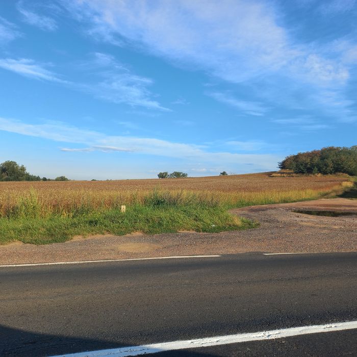 Działka z KONCESJĄ, Piasek, pospółka, rekultywacja. Inwestycja, biznes