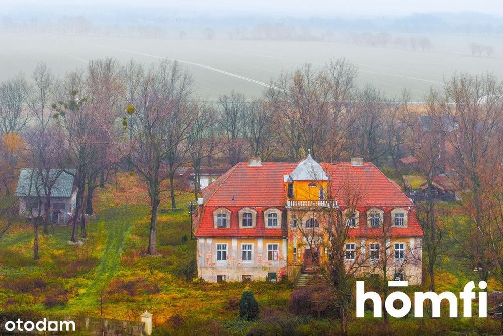 Na sprzedaż Pałac bez ograniczeń konserwatorskich!