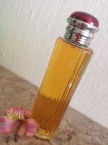 Perfume Vintage Burberrys - Society 100ml