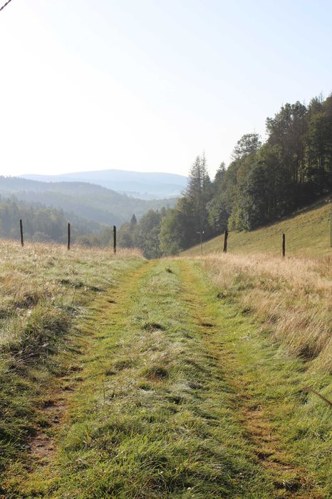 Domek Luna z kominkiem Kudowa