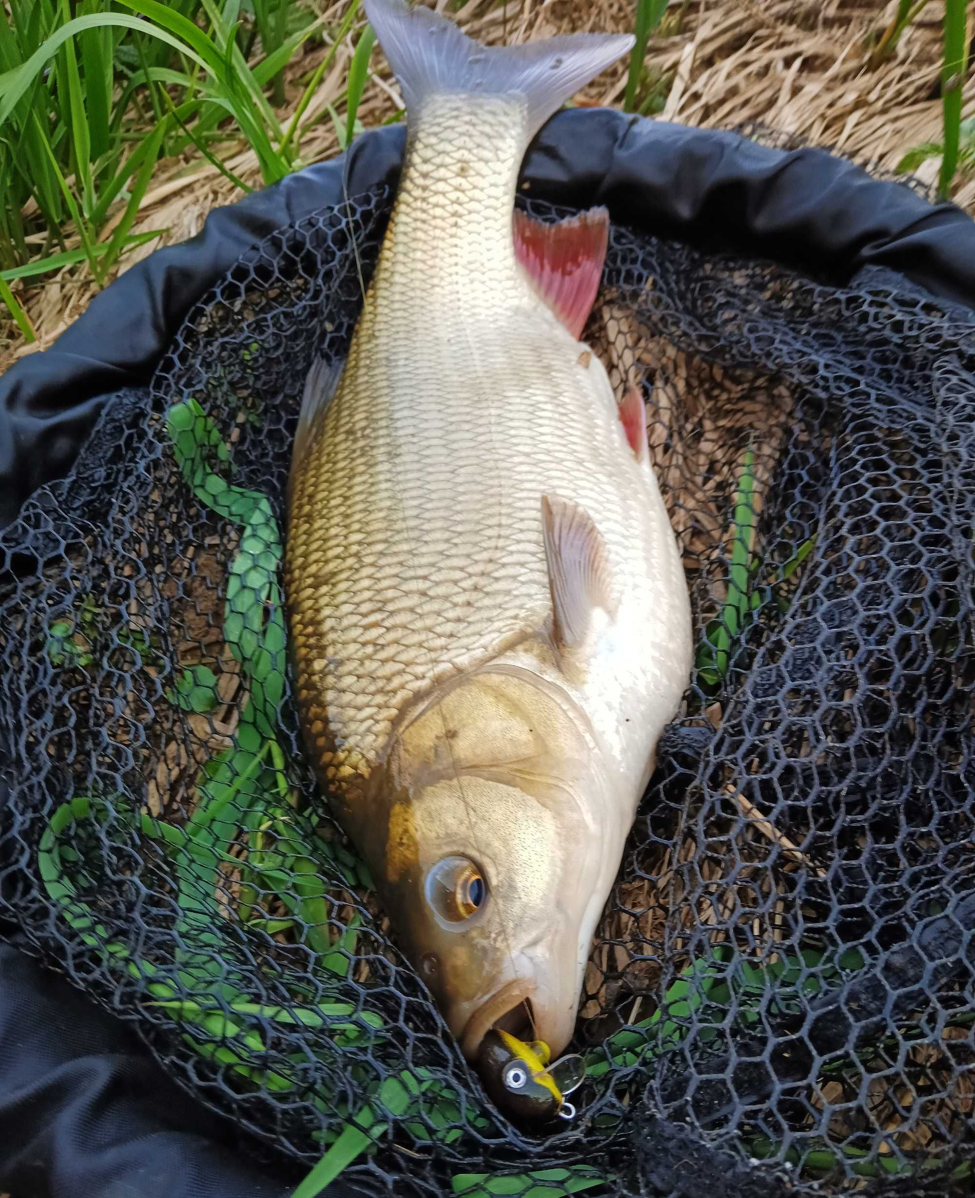 Woblery Powierzchniowe Smużaki Kleniowo Jaziowe LUKI LURES 2,7cm/3,2cm