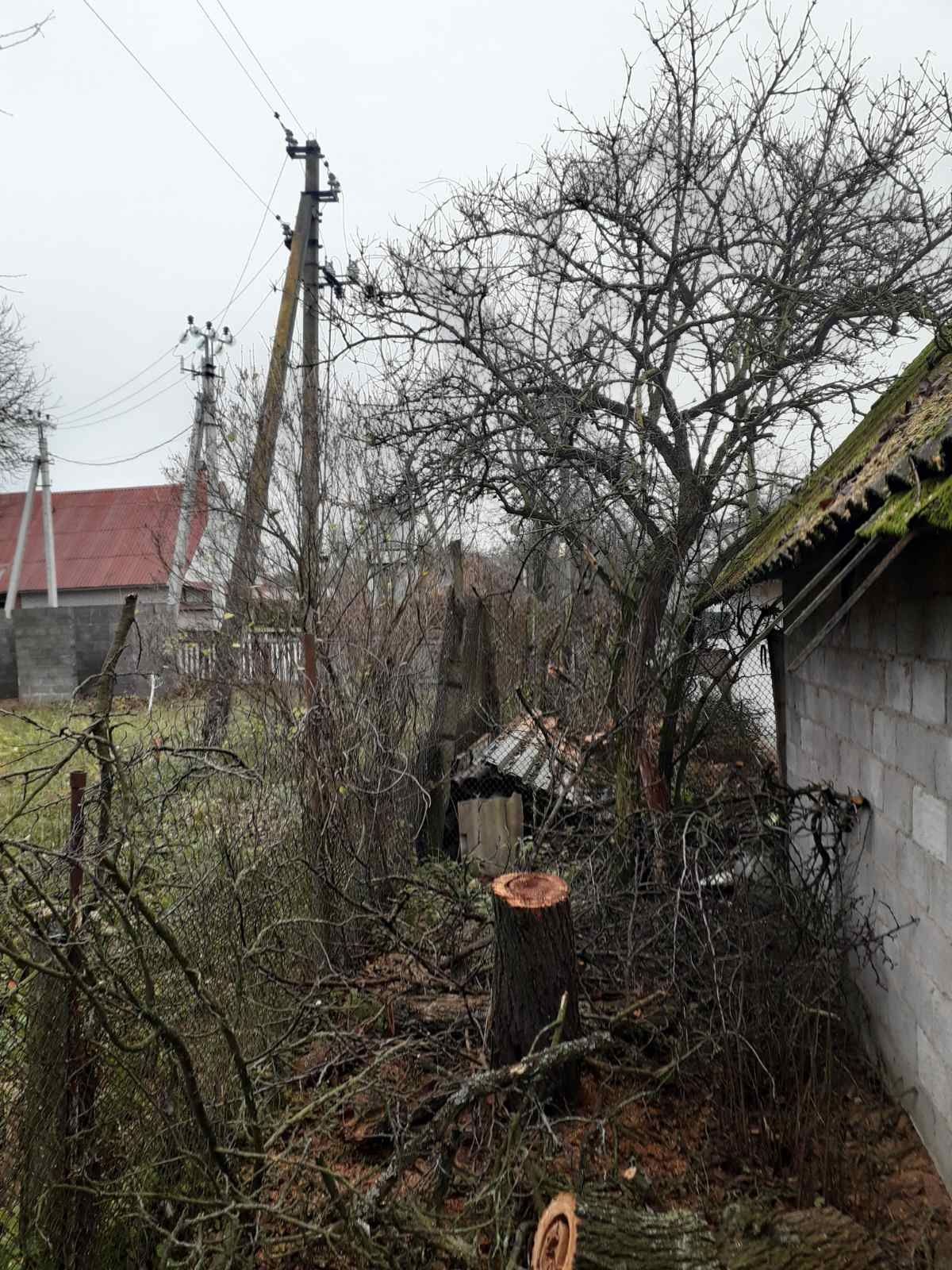 Видалення дерев Корчування пнів Благоустрій .Є послуги ЩЕПОРІЗА