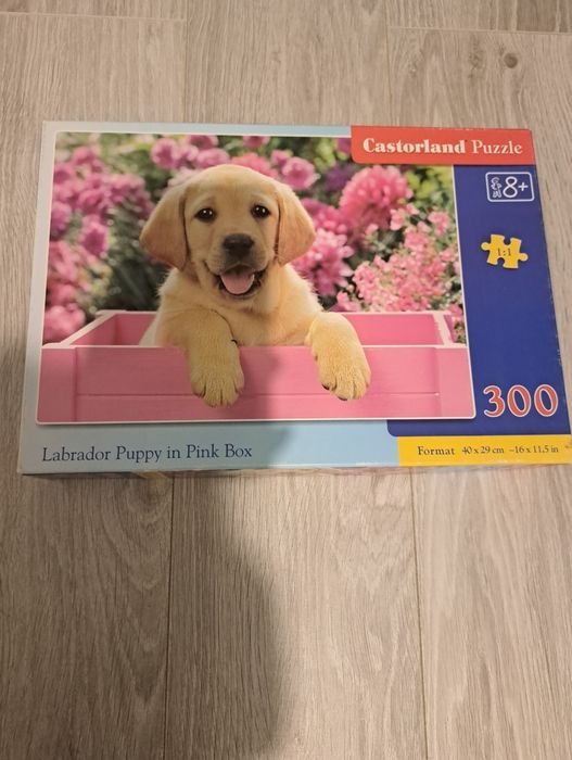 Puzzle labrador w różowym pudełku
