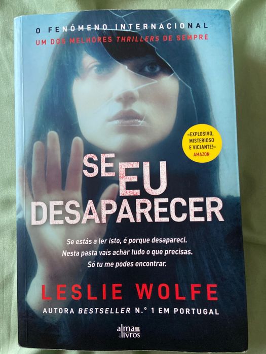 Se eu desaparecer Leslie Wolfe