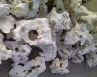 Wapień Filipiński Kamień Naturalny do Akwarium Biały Wapień Tanganika