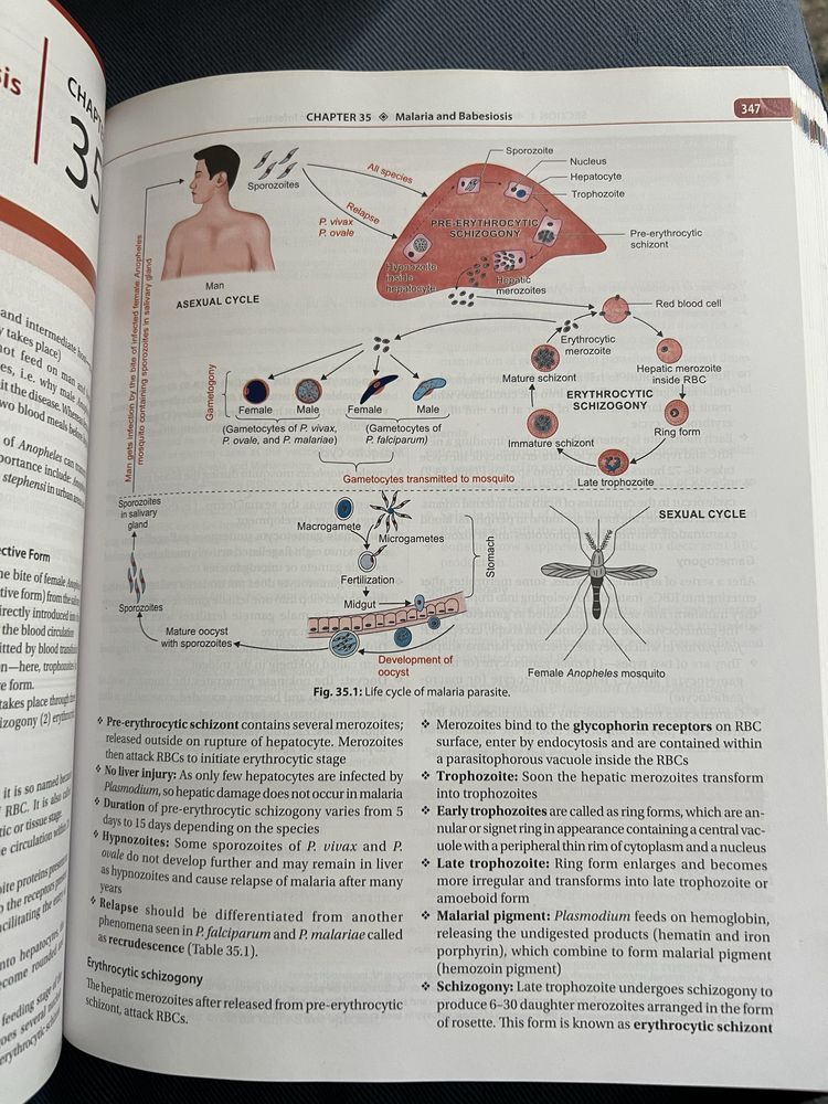 Книги по анатомії та медицинській мікробіології