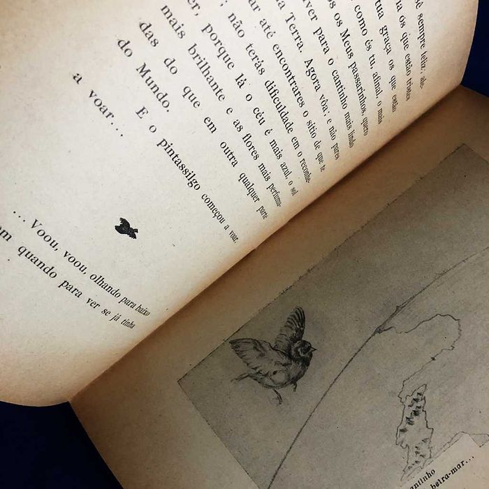 Emília Villar OS PASSARINHOS DOS RESTOS edição de 1945