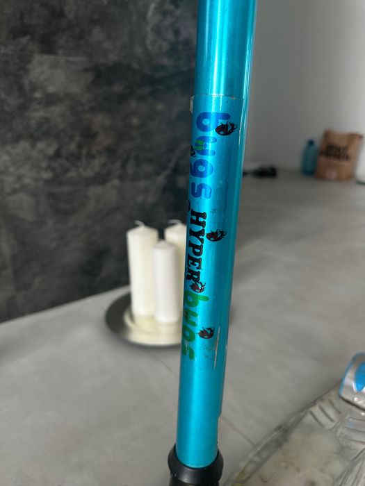 Самокат детский Bugs Hyper chameleon