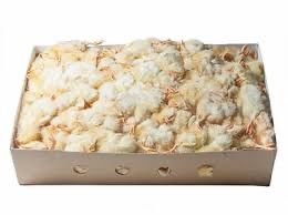 Добові курчатка