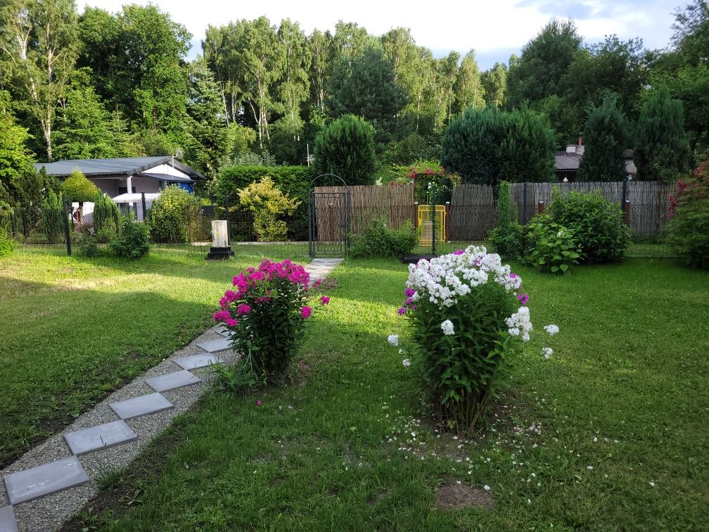 Działka ROD Sosnowiec Zagórze KĘPA 365m