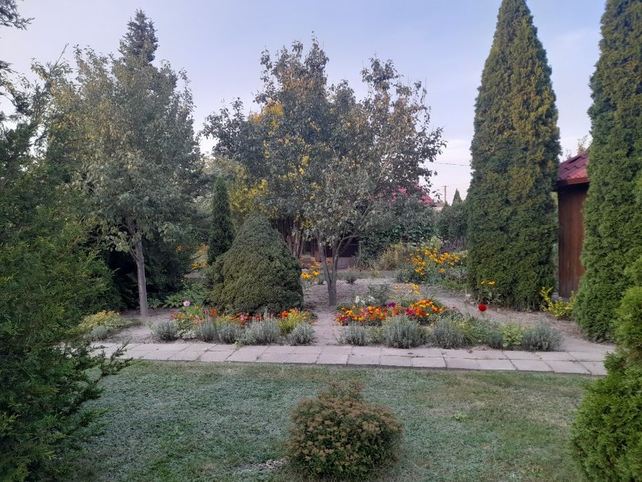 Działka ROD Szarotka