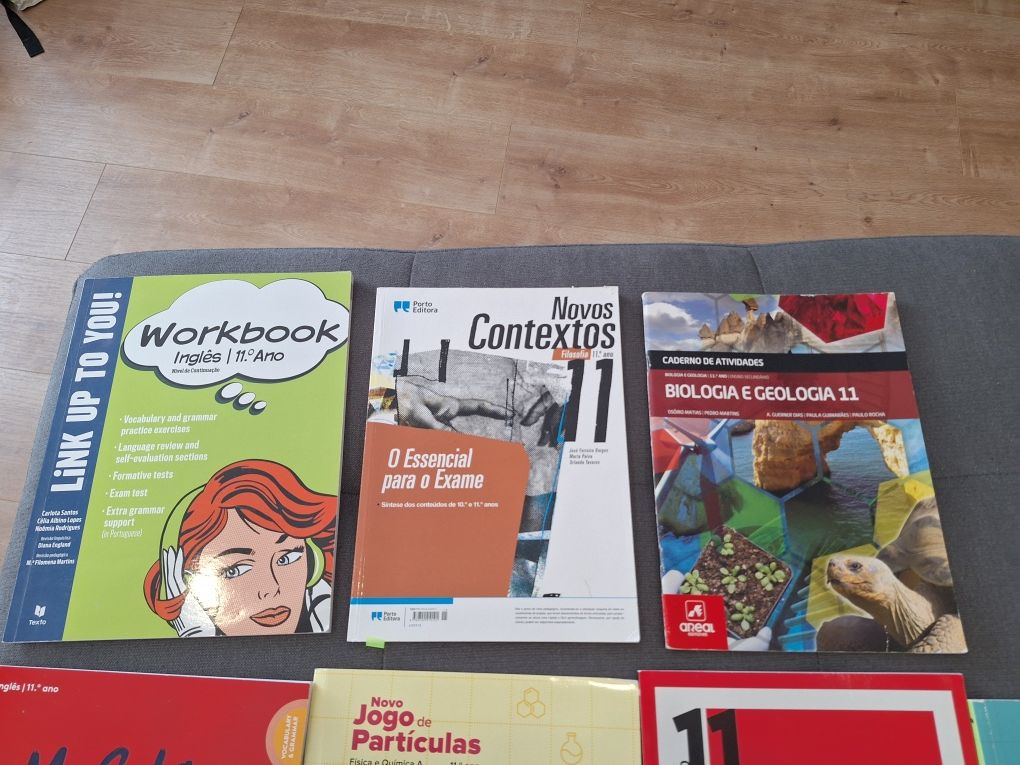 Cadernos de atividades 11 ano