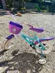 2 bicicletas da frozen