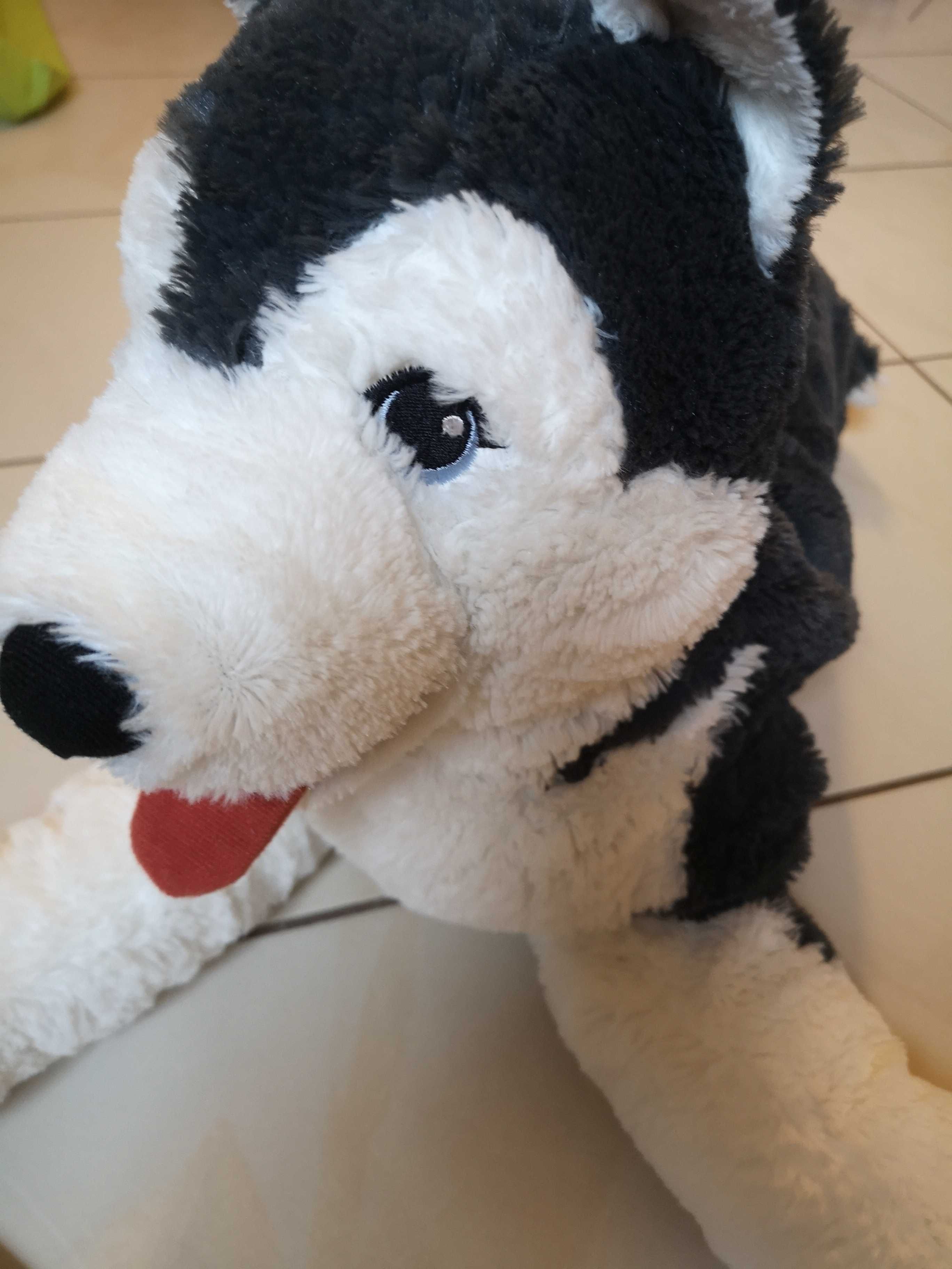 Wilk wilczek husky pluszak Ikea jak nowy jak żywy duży ok 65 cm miękki