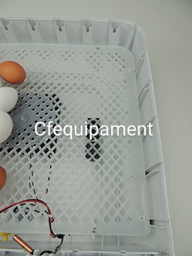 Chocadeira 60 ovos automática-NOVA PROMOÇÃO
