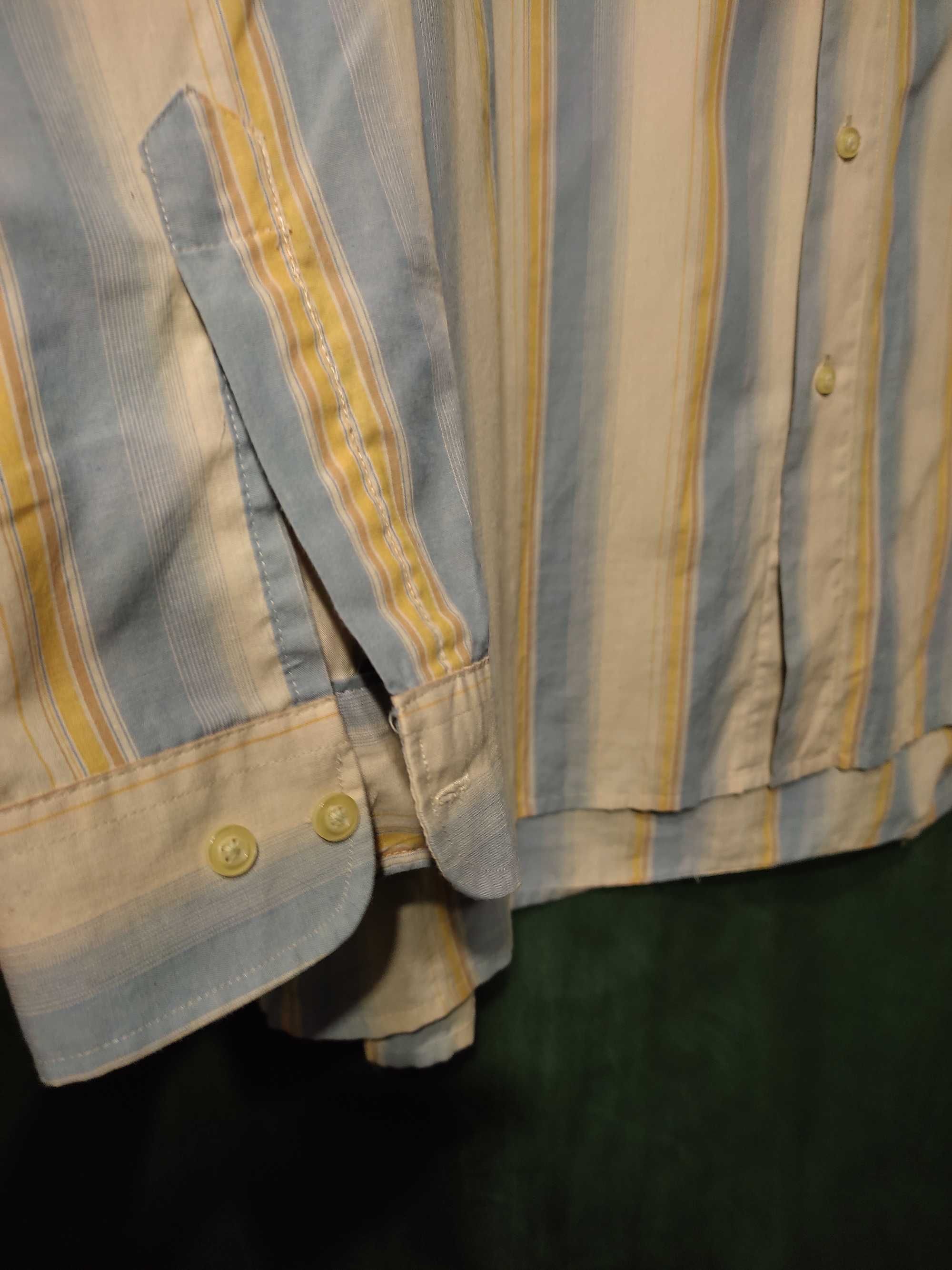 Koszula męska w paski beżowe błękitne plus size duży rozmiar