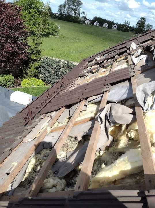 Kuny na poddaszu dachu strychu Naprawa izolacji po kunach celuloza