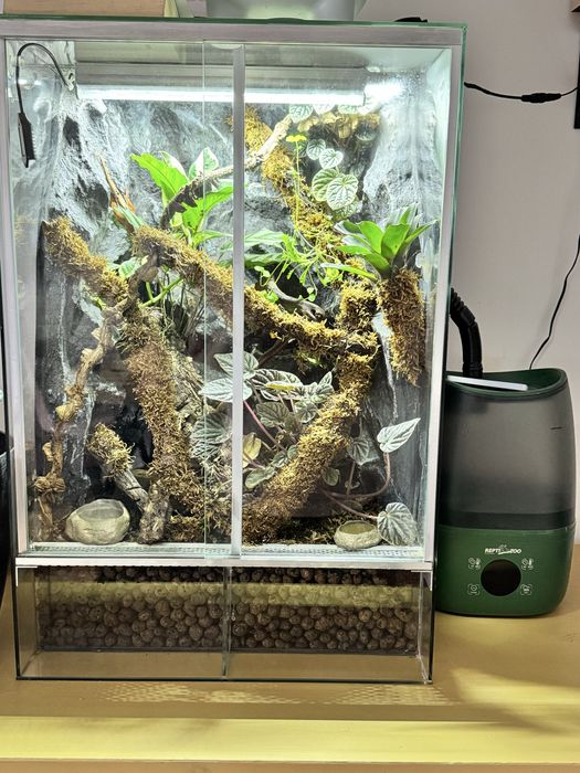 Terrarium tropikalne 40x40x60 idealne dla gekona
