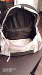 Gato mochila transporte