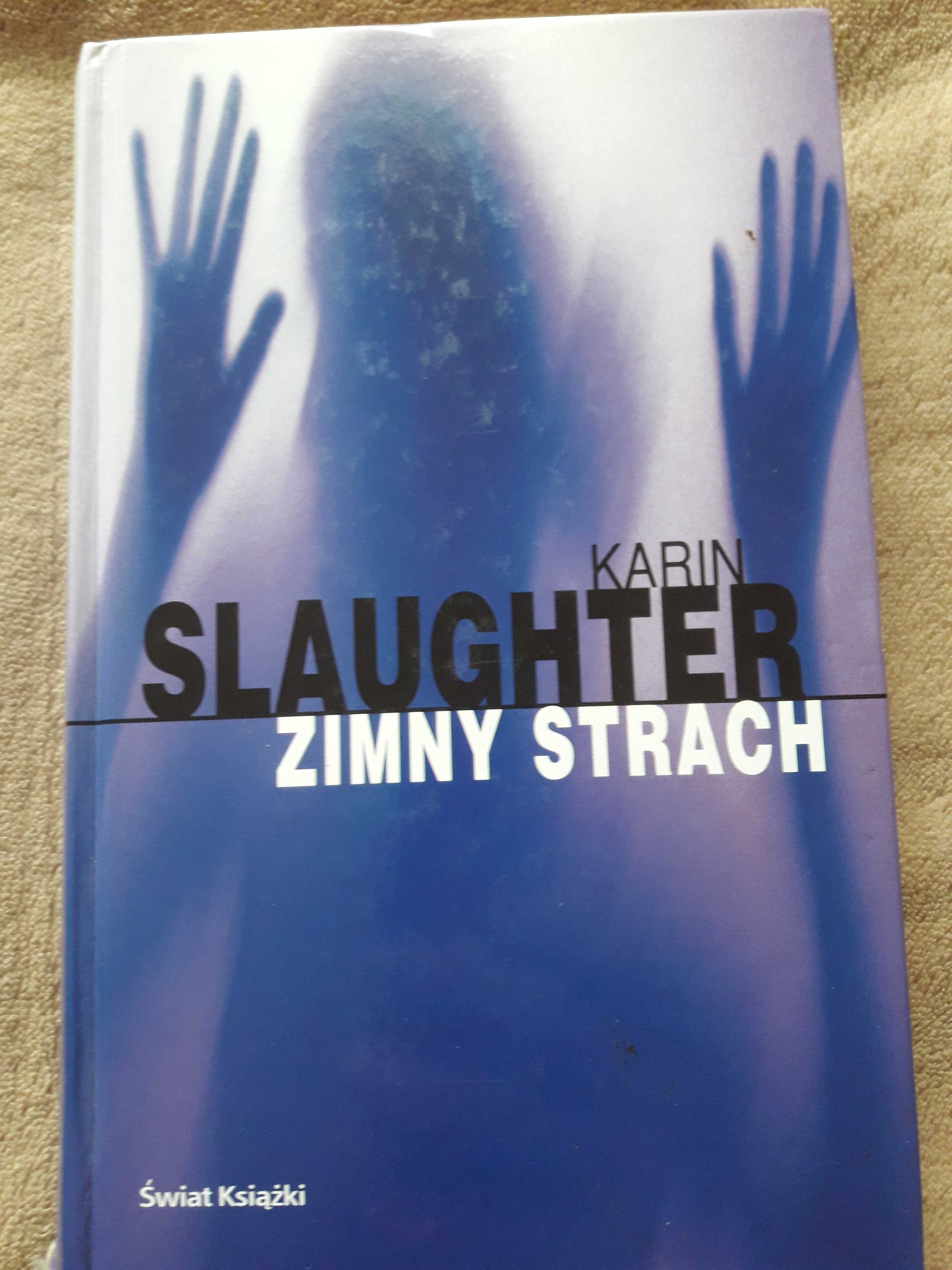 Zimny strach, Karin Slaughter