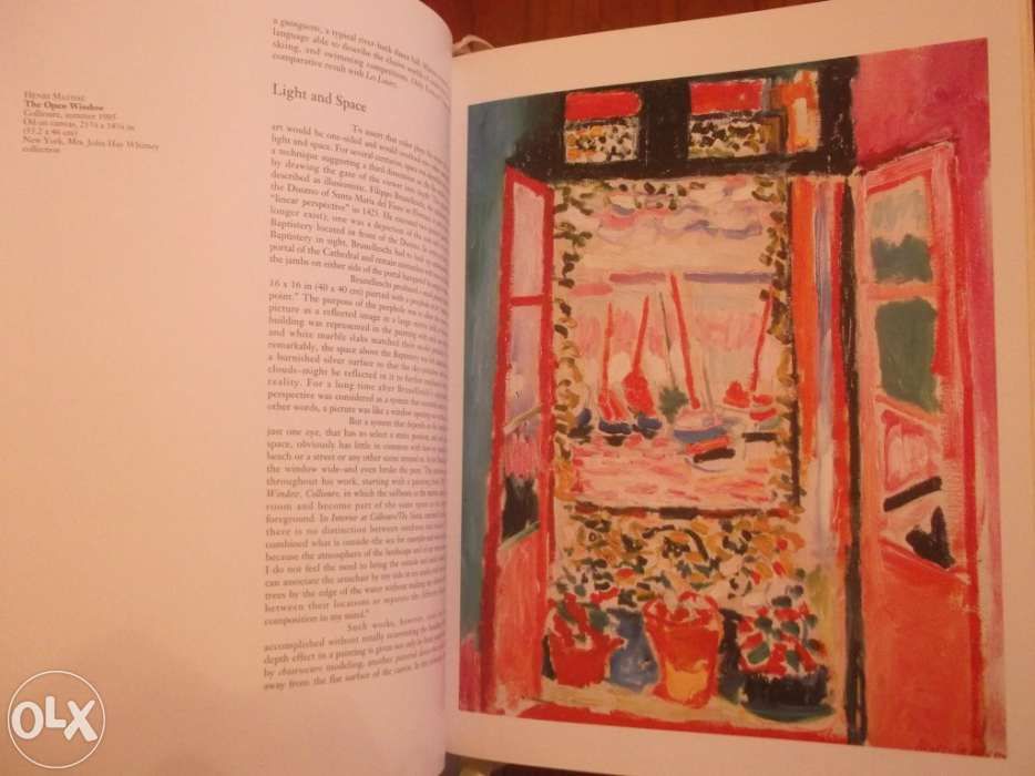 40Livro - the fauves: the reign of color