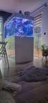 Akwarium 150x80x70 opti 12mm plus sump tropheusy frontosa