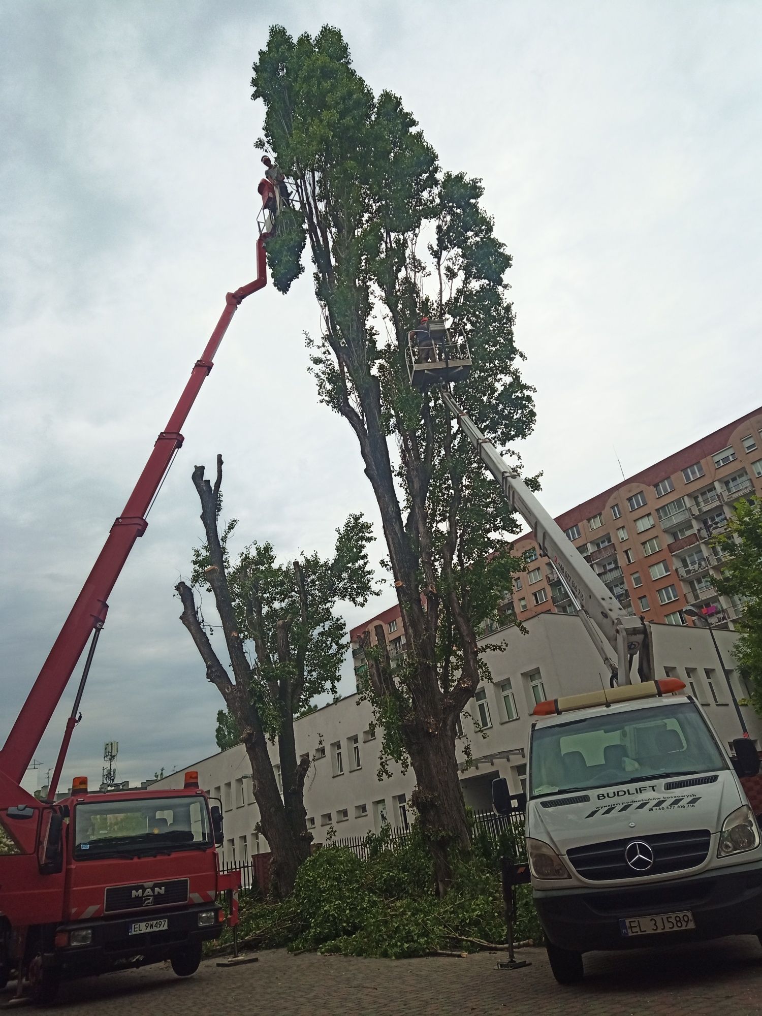 Wynajem podnośników koszowych , prace na wysokości .