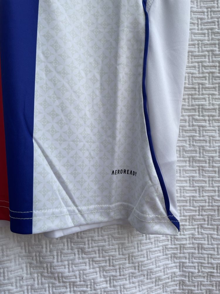 Camisola Principal 2025/2026 do Olympique Lyonnais M