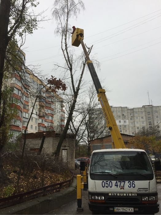 Обрезка деревьев