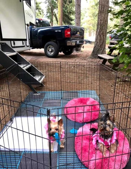 Манеж клетка 180х60х61h 8 секций с дверкой для собак щенков кролика