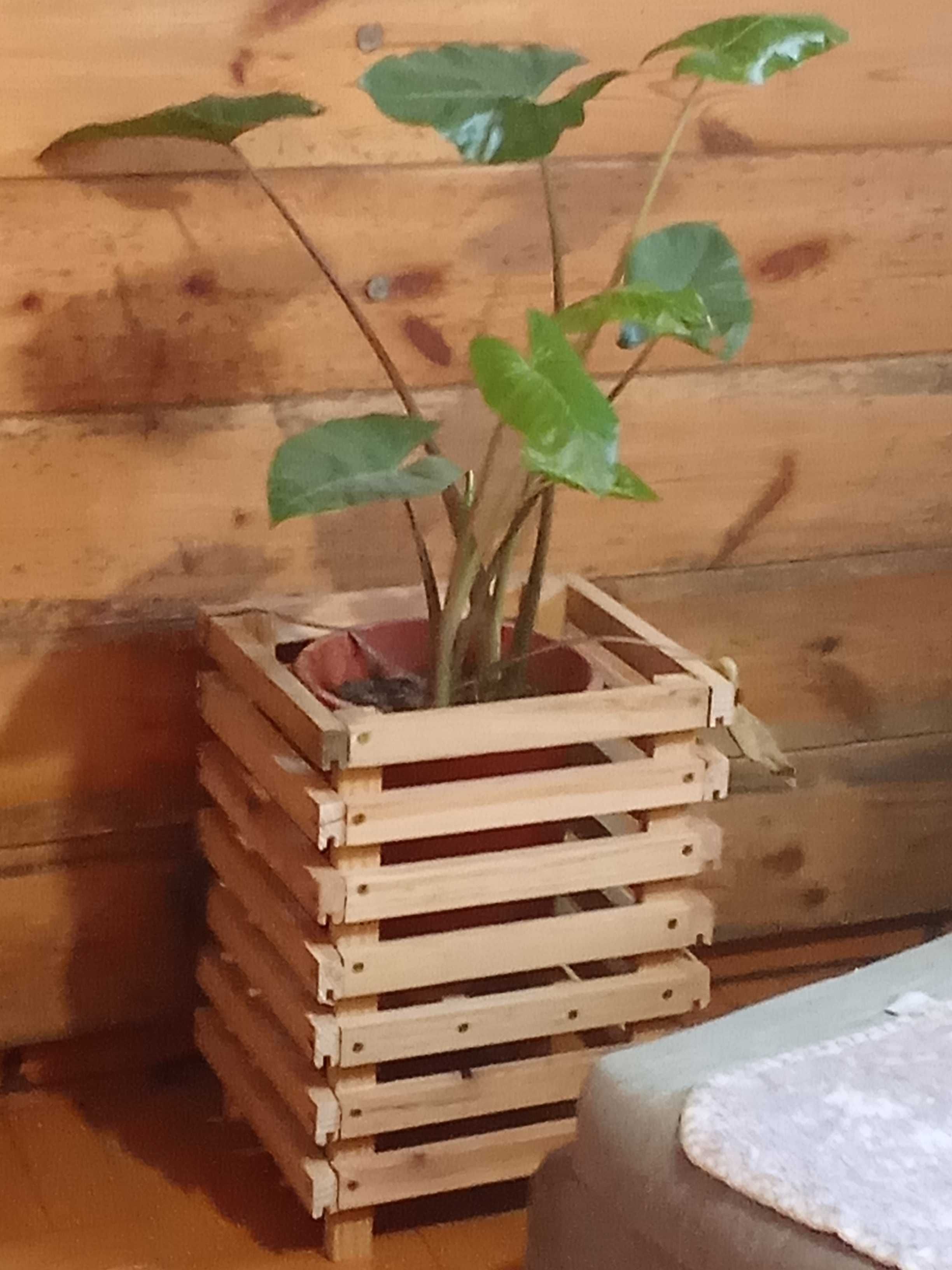 Faço Suportes de madeira para vasos