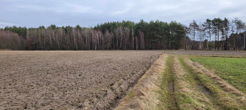 Działka budowlana Krasne-Kosów gm. Uścimów Jezioro Krasne