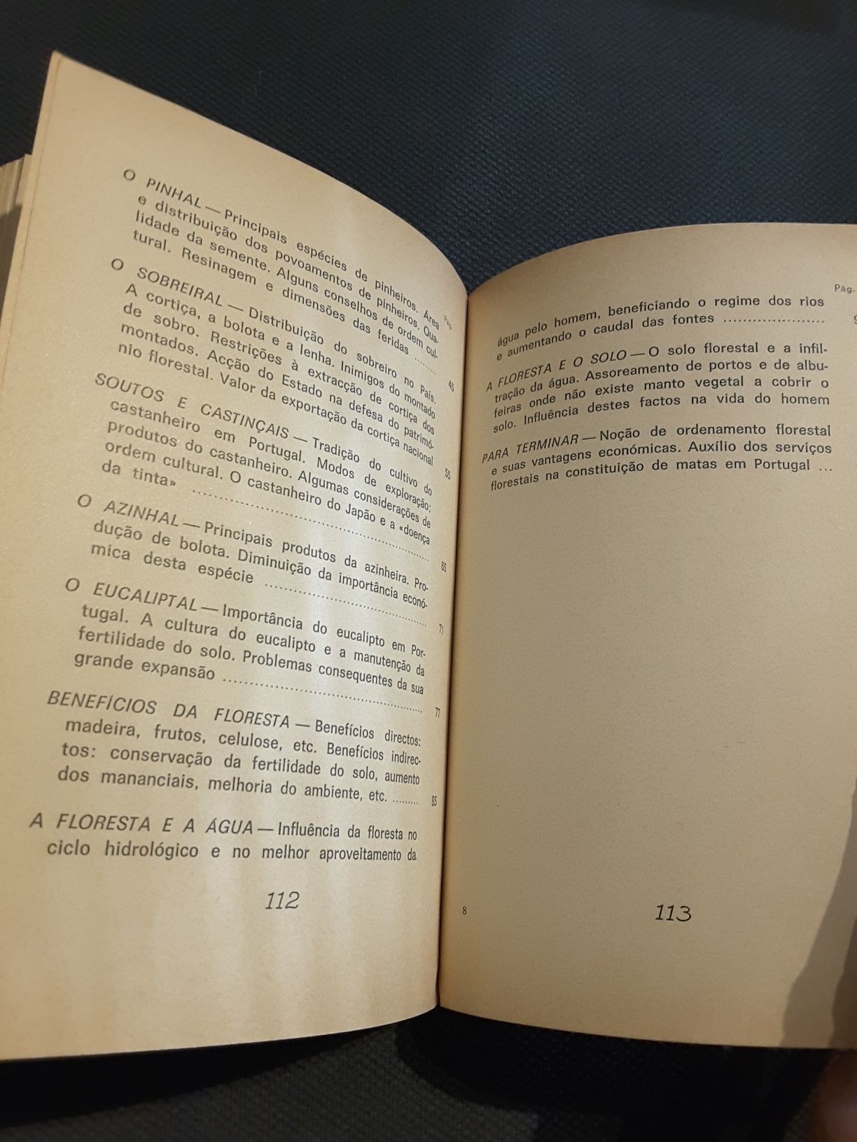 A Região da Macieira “bravo de Esmolfe” / A Floresta Portuguesa