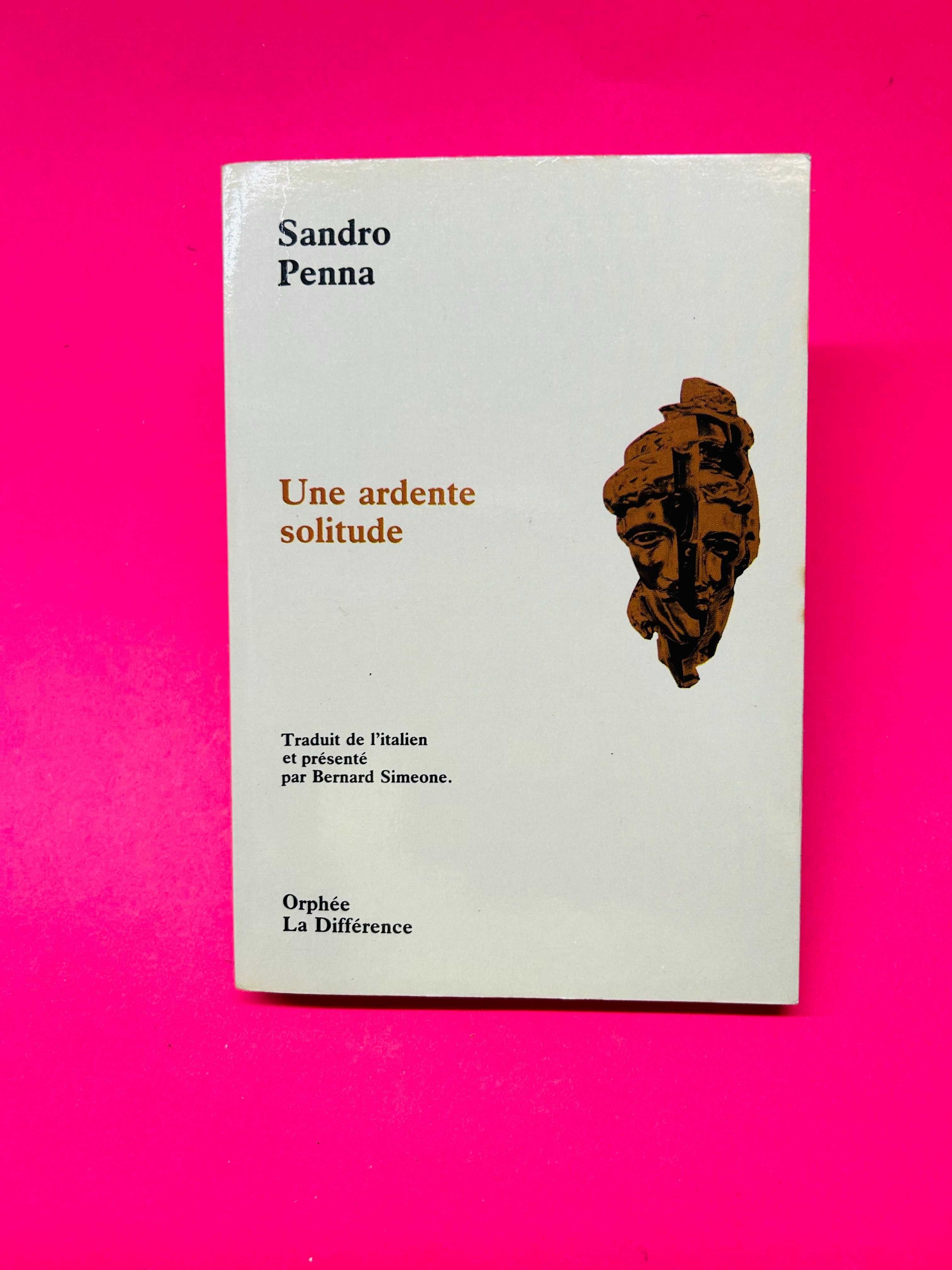 SANDRO PENNA
UNE ARDENTE SOLITUDE (choix de poèmes)