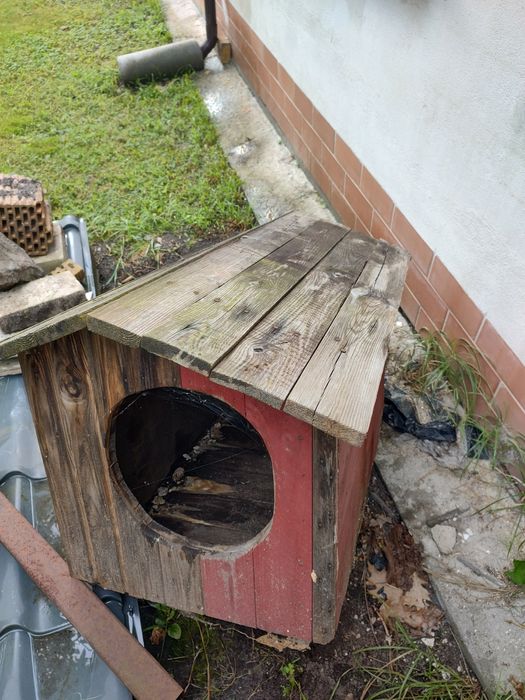 Buda dla psa dobry stan za darmo