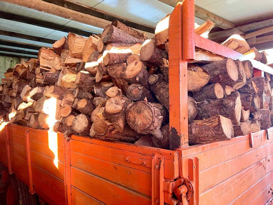 Lenha de Pinheiro Manso