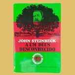 A Um Deus Desconhecido - John Steinbeck