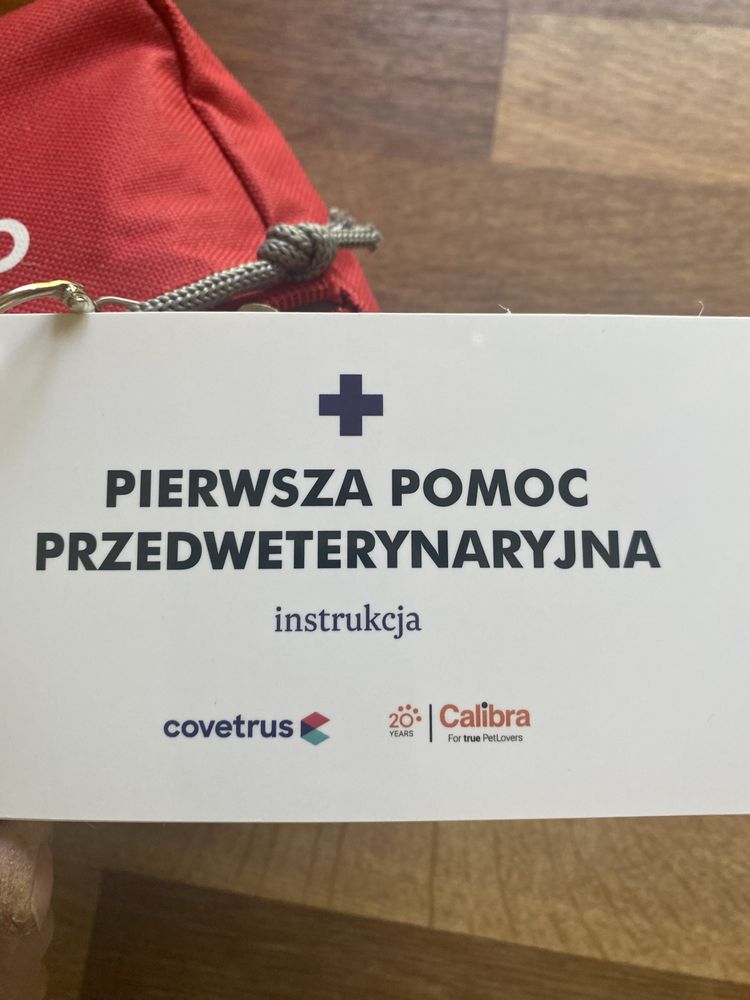 Apteczka dla psa