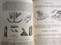 Iniciação à urologia clínica , 1944