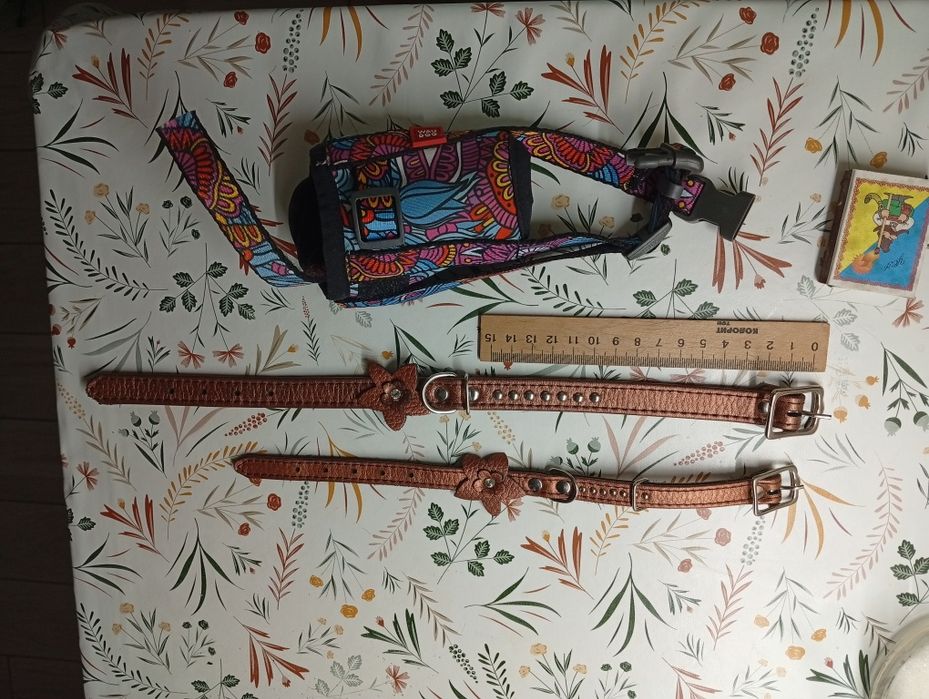 Ошейник, намордник