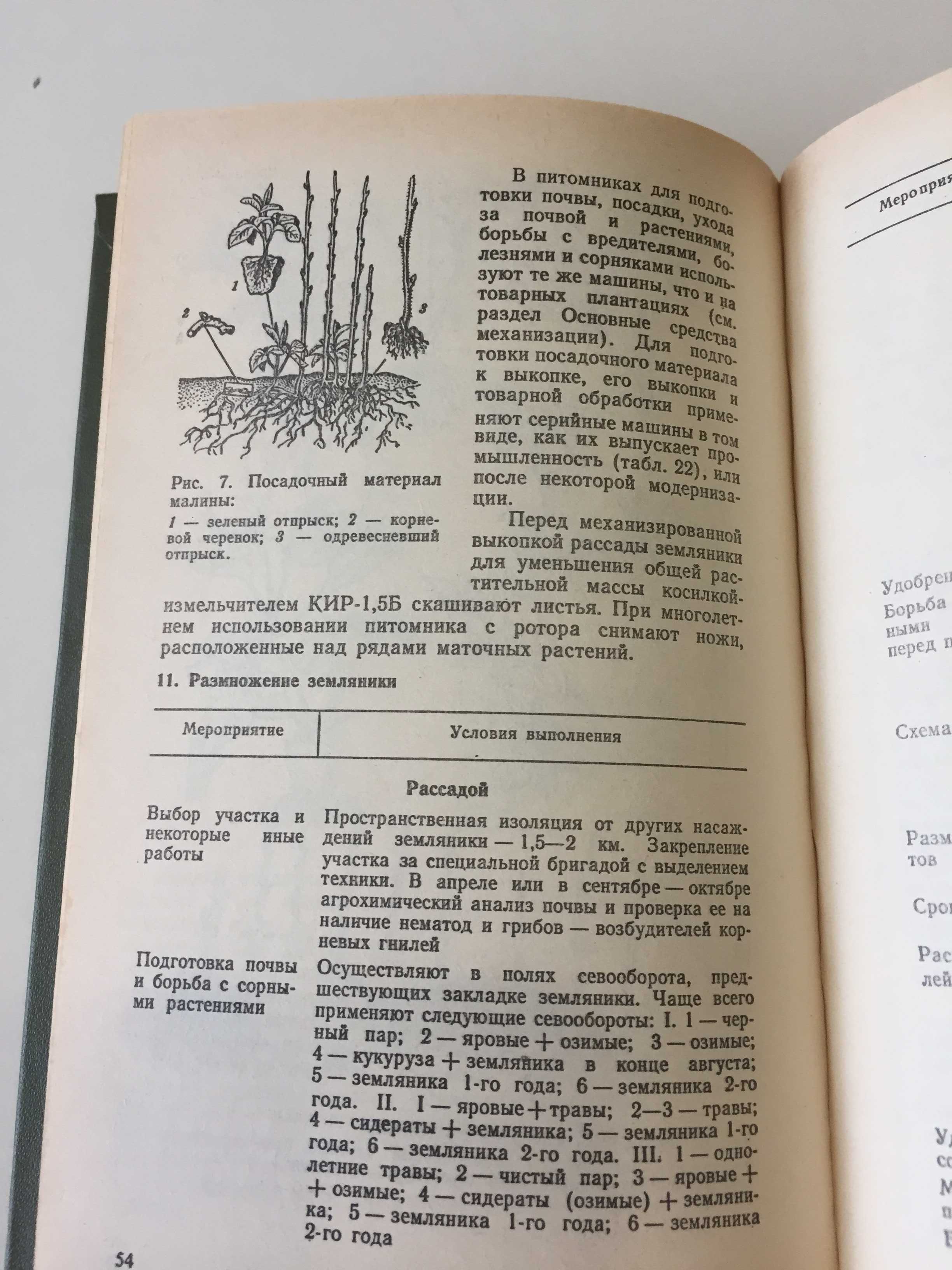 Ярославцев Е.И. Ягодные культуры. Справочник. Новая, на русском языке