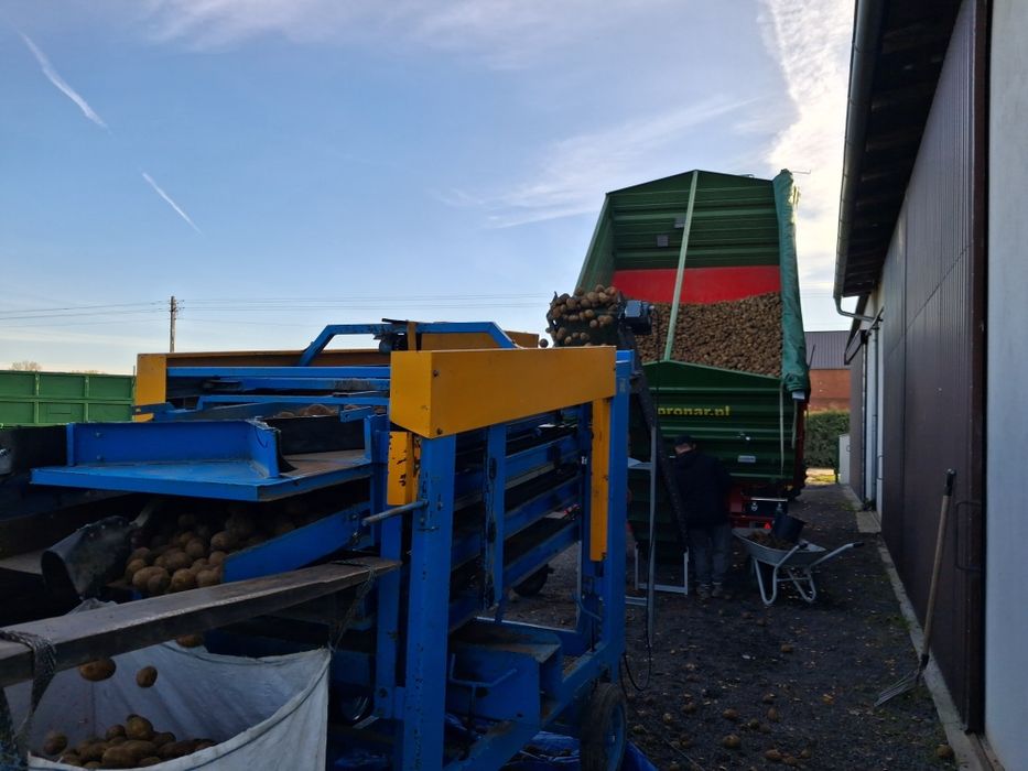 Ziemniaki skrobiowe przemysłowe Skawa eurogrande eurostarch