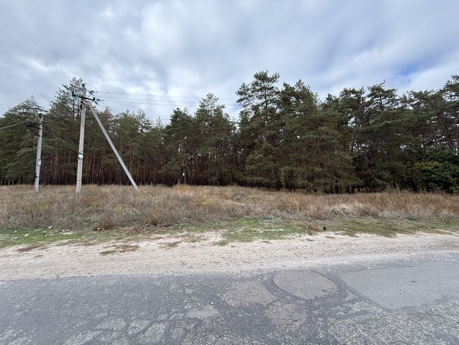 Продам участок с. Орловщина возле соснового леса