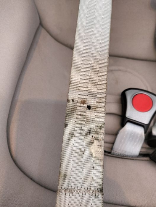 Ovo / Cadeira auto Chicco Oasys 0+