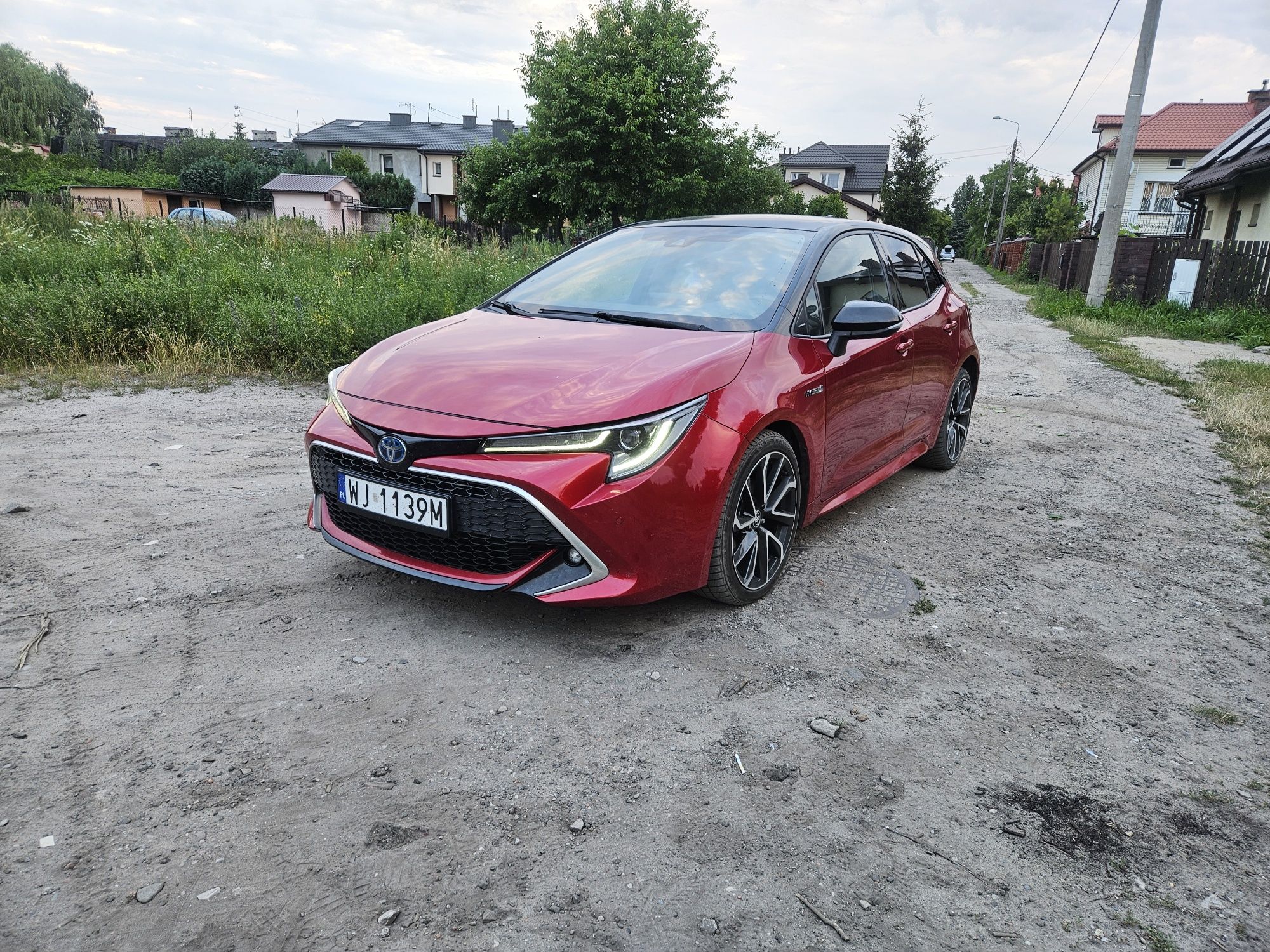Toyota corolla, hybryda, executive