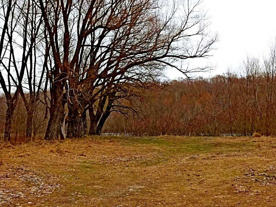 TO Земельна ділянка в стародавньому селі Боромики