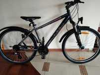 Rower BULLS XC Sport 26 cala super stan