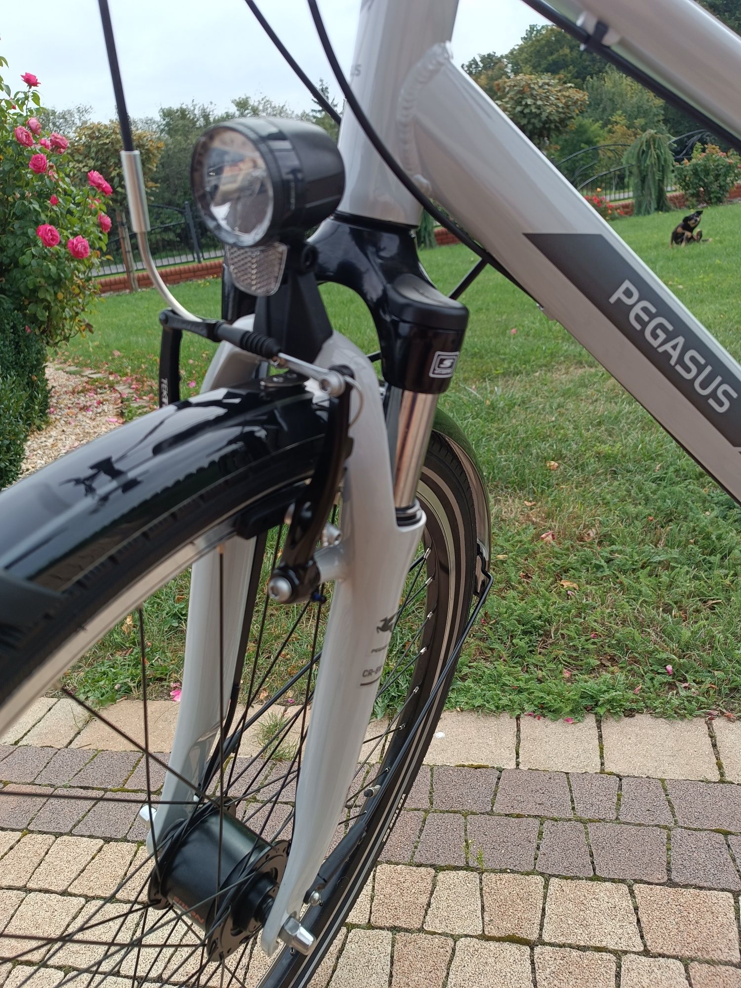 Pegasus Solero SL Nowy