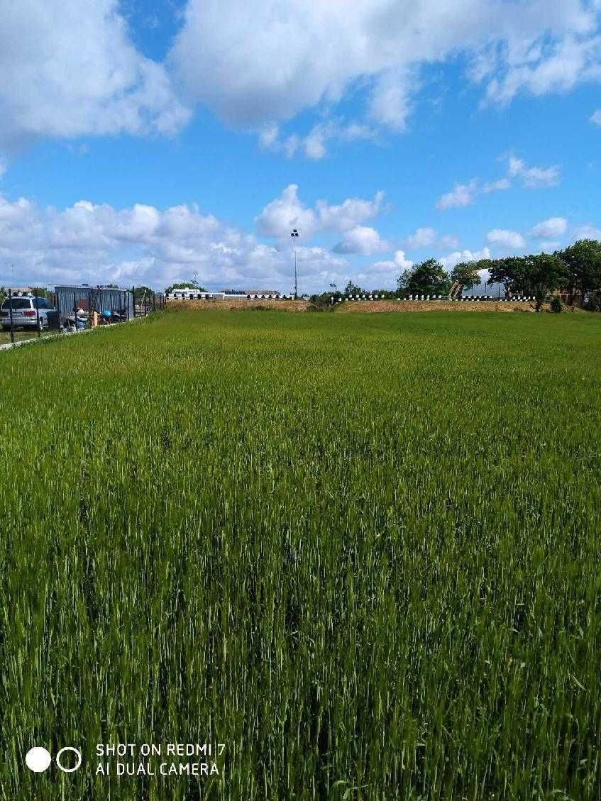 Działka budowlana o pow. 1388 m2 w spokojnej okolicy w Lubanowie